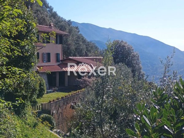 casa indipendente in vendita a Camaiore in zona Capezzano Pianore