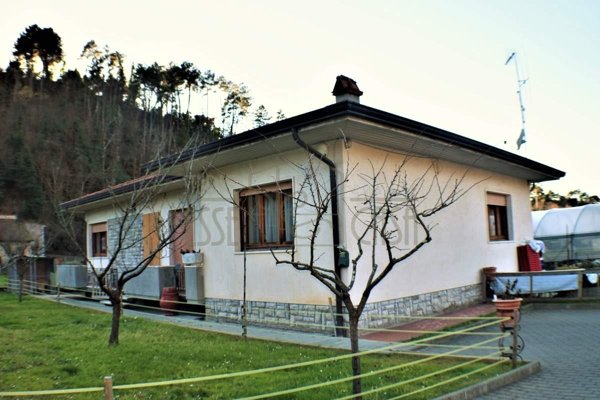 casa indipendente in vendita a Camaiore