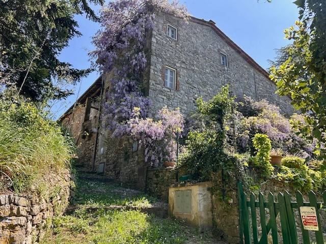 casa indipendente in vendita a Camaiore in zona Orbicciano