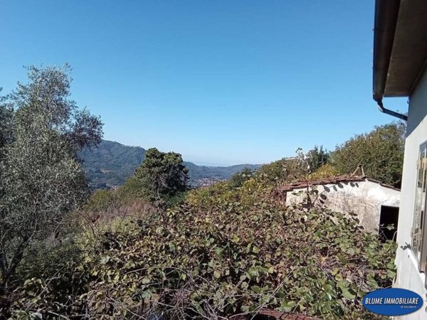 casale in vendita a Camaiore