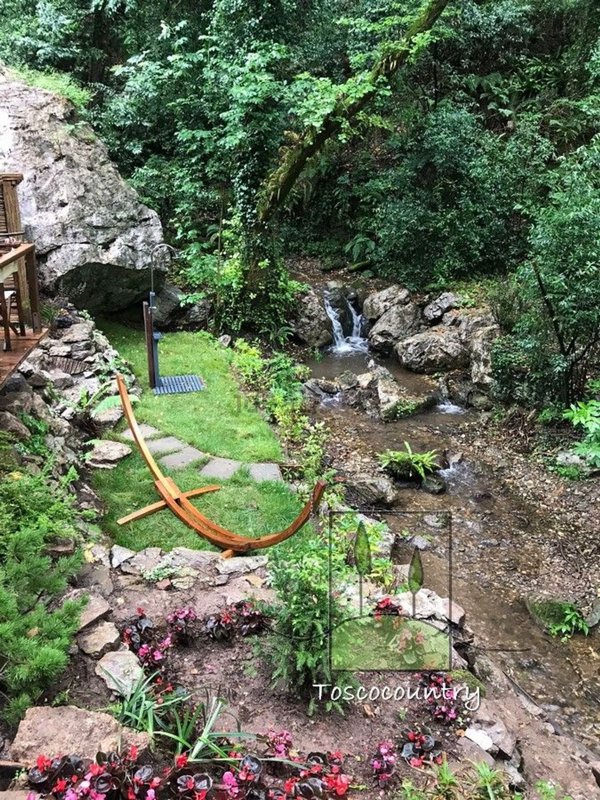 esavano in vendita a Camaiore