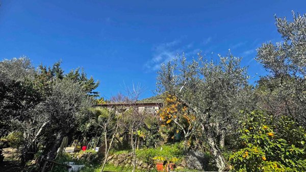 casa indipendente in vendita a Camaiore in zona Montebello