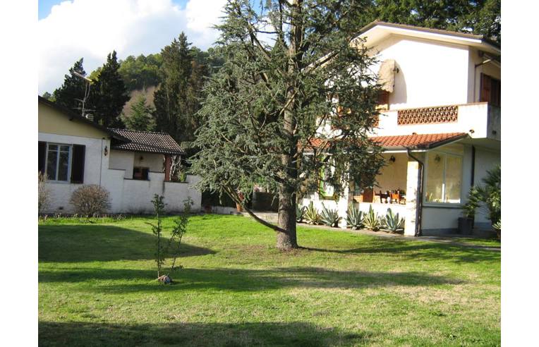 casa indipendente in vendita a Camaiore in zona Valpromaro