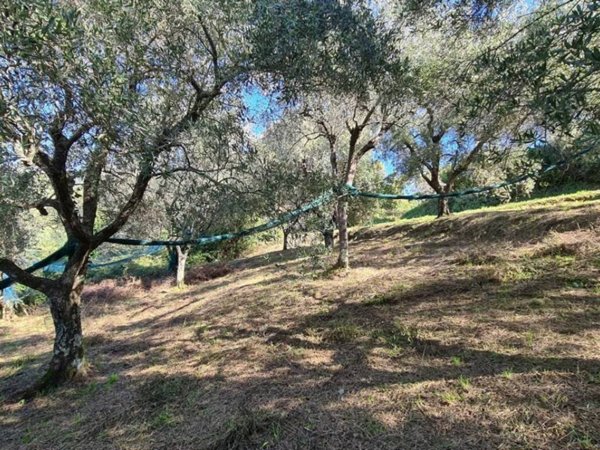 terreno agricolo in vendita a Camaiore