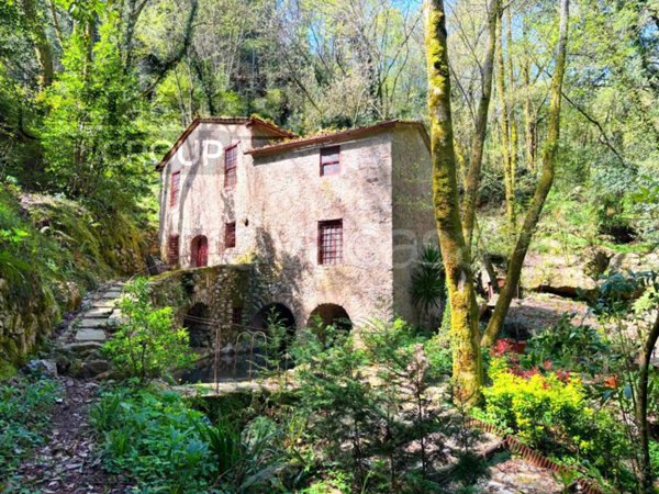 casa indipendente in vendita a Camaiore in zona Orbicciano