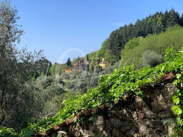 casa indipendente in vendita a Camaiore in zona Santa Maria Albiano