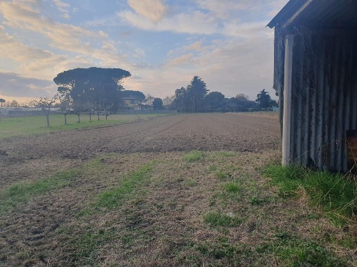 casa indipendente in vendita a Camaiore in zona Capezzano Pianore