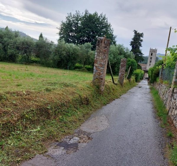 terreno agricolo in vendita a Camaiore in zona Pieve di Camaiore