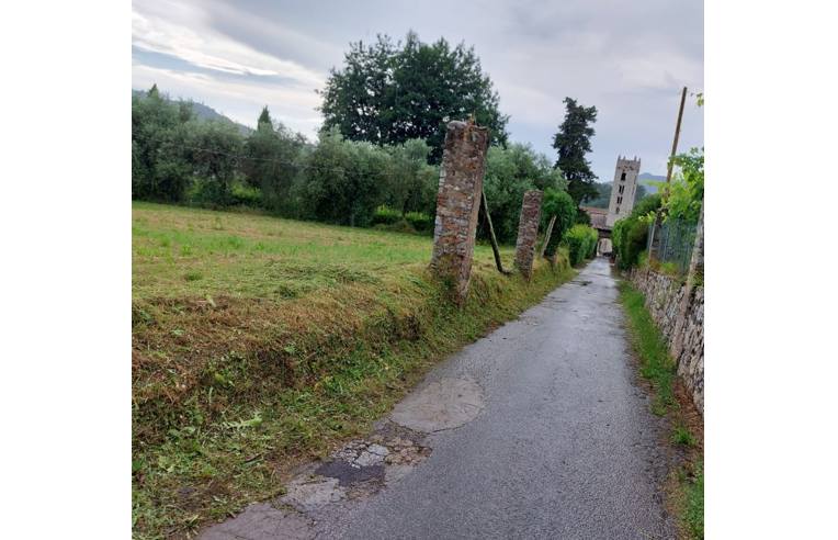 terreno agricolo in vendita a Camaiore in zona Pieve di Camaiore