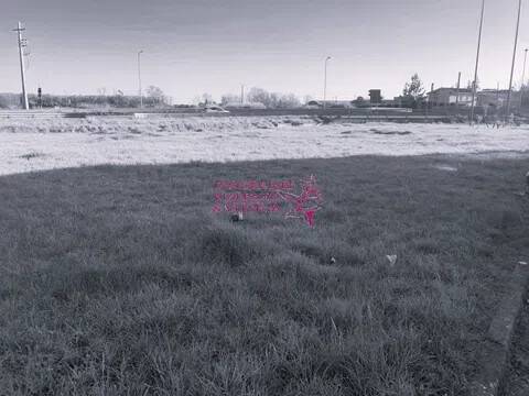 locale commerciale in vendita a Camaiore in zona Capezzano Pianore