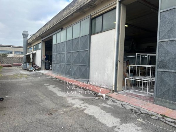 appartamento in vendita a Camaiore in zona Capezzano Pianore