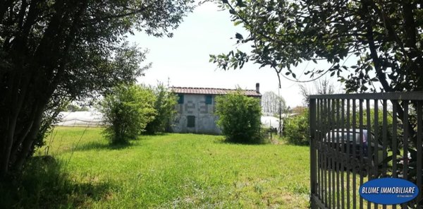 quadrivano in vendita a Camaiore in zona Capezzano Pianore