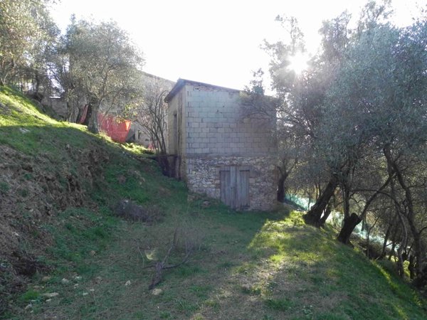 terreno agricolo in vendita a Camaiore