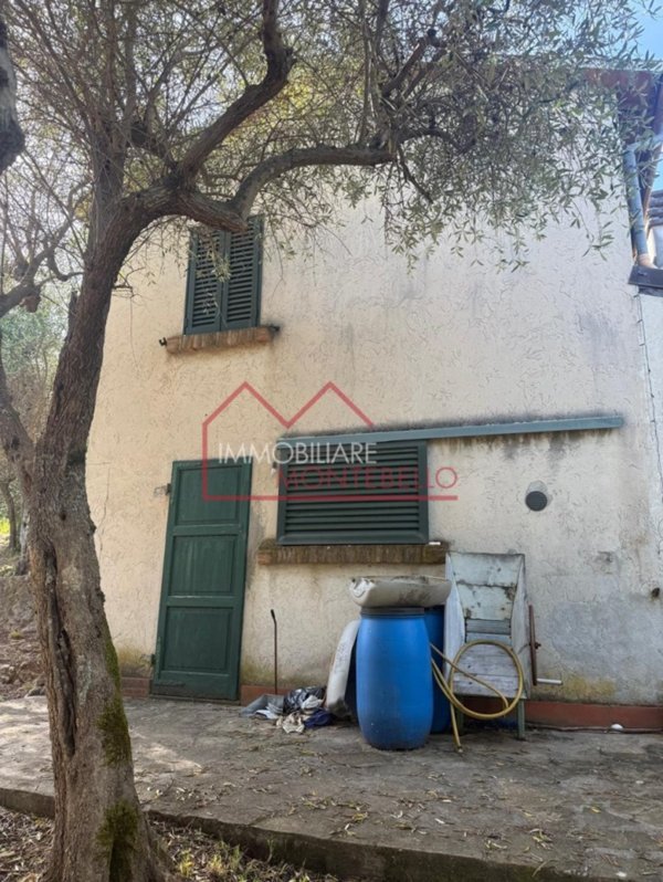 casa indipendente in vendita a Camaiore in zona Greppolungo