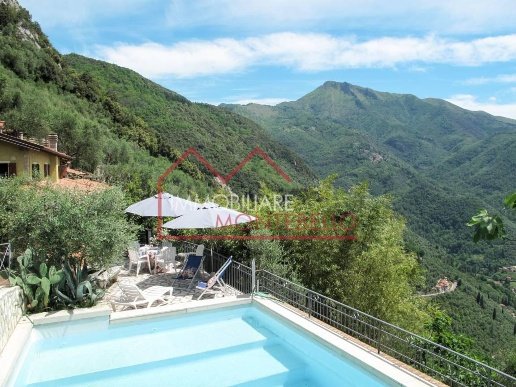 casa indipendente in vendita a Camaiore in zona Greppolungo