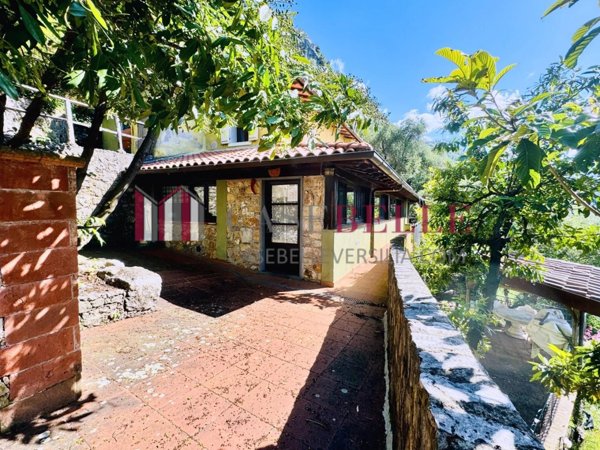 casa indipendente in vendita a Camaiore in zona Greppolungo