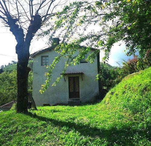 casa indipendente in vendita a Camaiore
