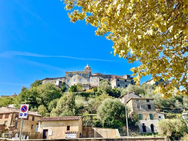 casa indipendente in vendita a Camaiore in zona Monteggiori