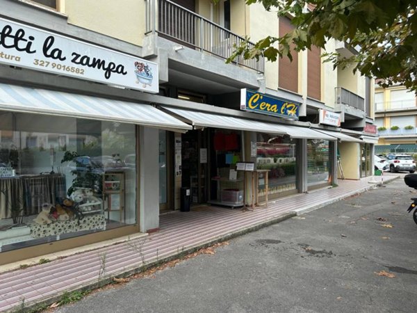negozio in vendita a Camaiore in zona Lido di Camaiore