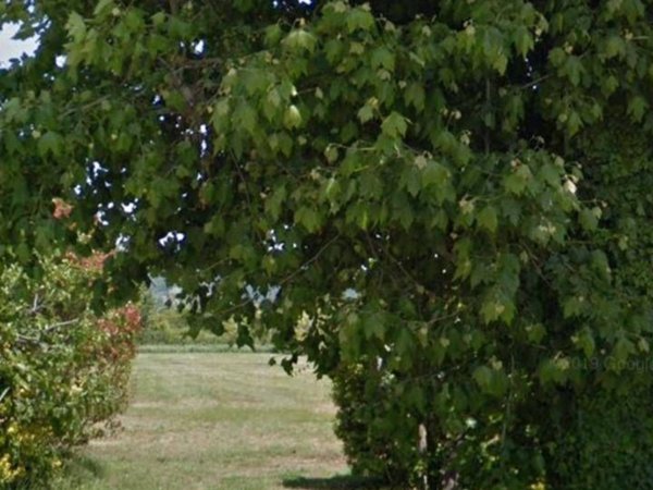 terreno agricolo in vendita a Camaiore in zona Lido di Camaiore