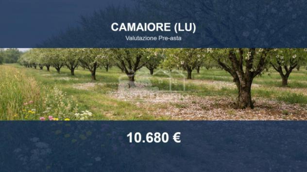 terreno agricolo in vendita a Camaiore in zona Casoli