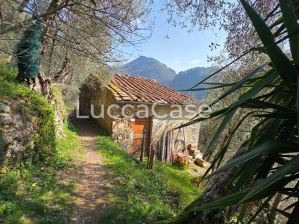 casa indipendente in vendita a Camaiore in zona Torcigliano