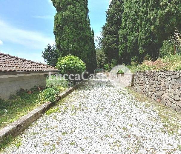 casa indipendente in vendita a Camaiore in zona Gombitelli