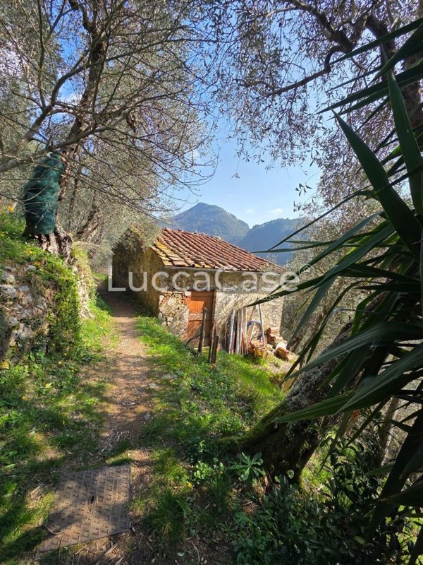 appartamento in vendita a Camaiore in zona Torcigliano