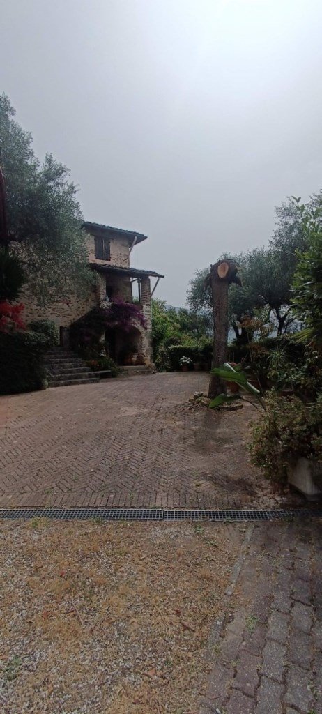 casa indipendente in vendita a Camaiore in zona Montebello