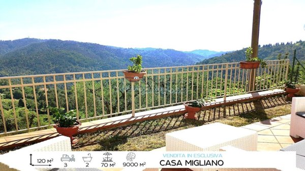 casa indipendente in vendita a Camaiore in zona Migliano
