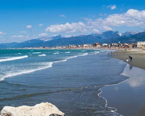negozio in vendita a Camaiore