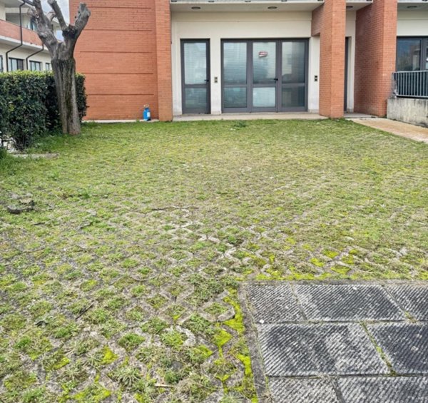 capannone in vendita a Camaiore