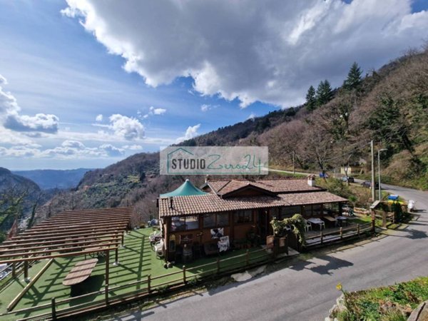 negozio in vendita a Camaiore in zona Casoli