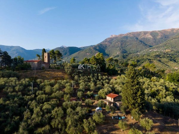 terreno agricolo in vendita a Camaiore in zona Pontemazzori