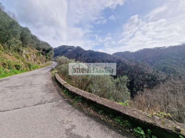terreno in vendita a Camaiore in zona Nocchi