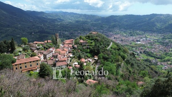 terreno in vendita a Camaiore in zona Greppolungo