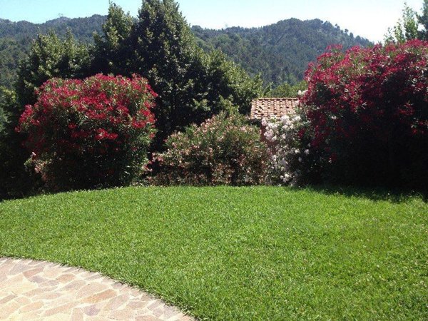 casa indipendente in vendita a Camaiore in zona Lido di Camaiore