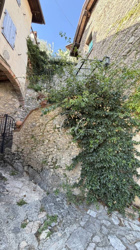 immagine annuncio 0 di 13