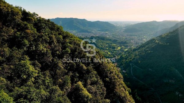 terreno agricolo in vendita a Camaiore in zona Casoli
