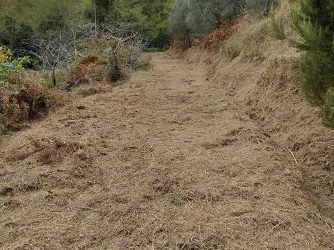 casa indipendente in vendita a Camaiore