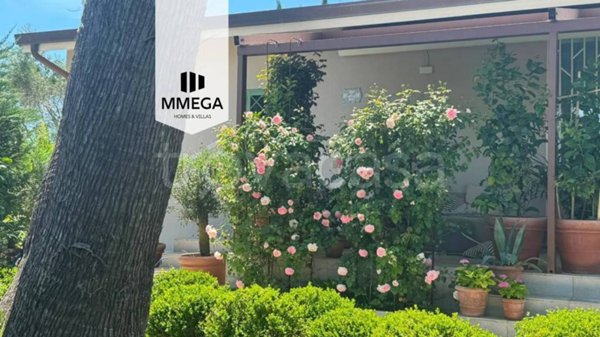 casa indipendente in vendita a Camaiore