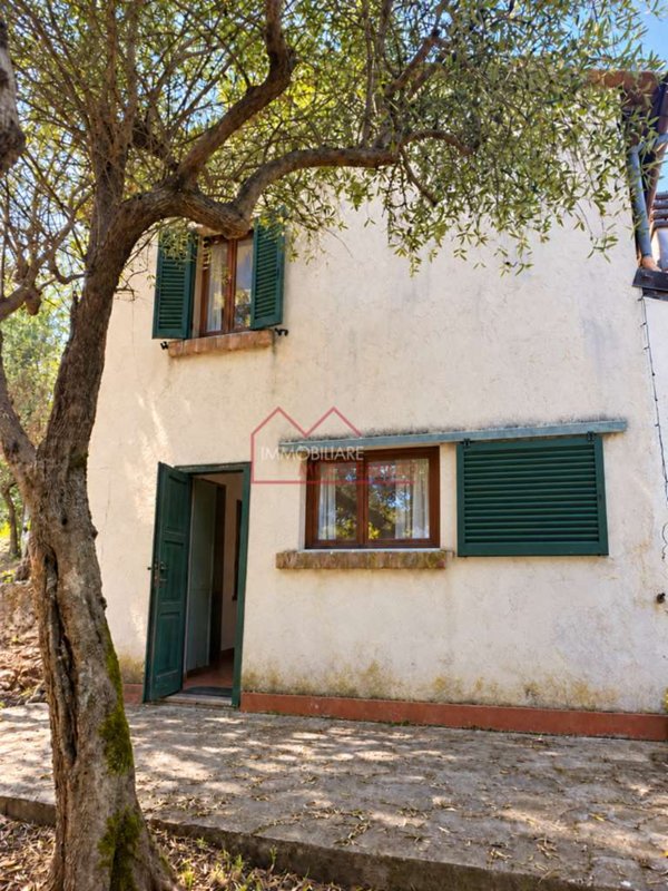 casa indipendente in vendita a Camaiore in zona Greppolungo