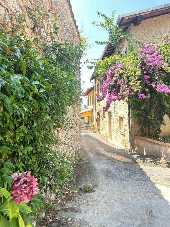 intera palazzina in vendita a Camaiore