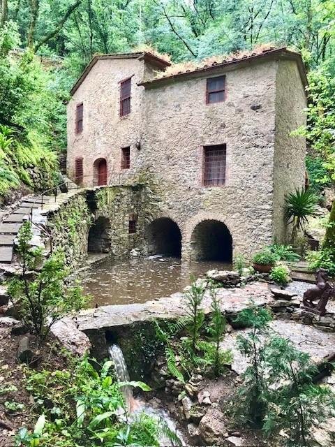 casa indipendente in vendita a Camaiore in zona Orbicciano