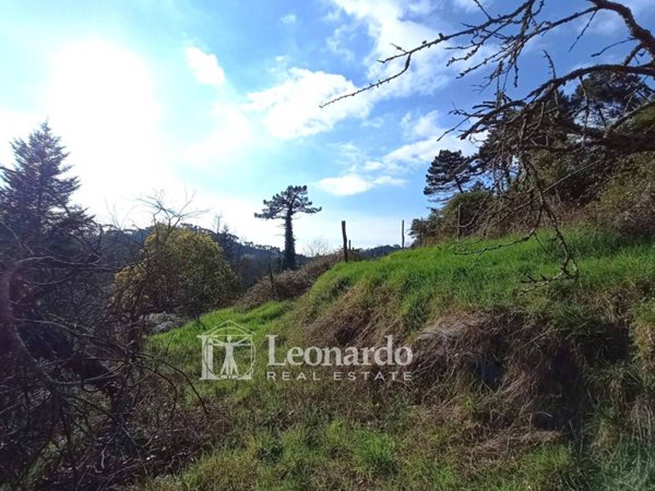 casa indipendente in vendita a Camaiore