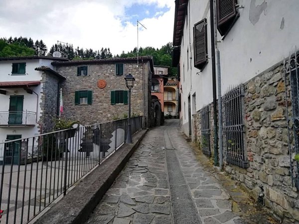 casa indipendente in vendita a Camporgiano in zona Poggio