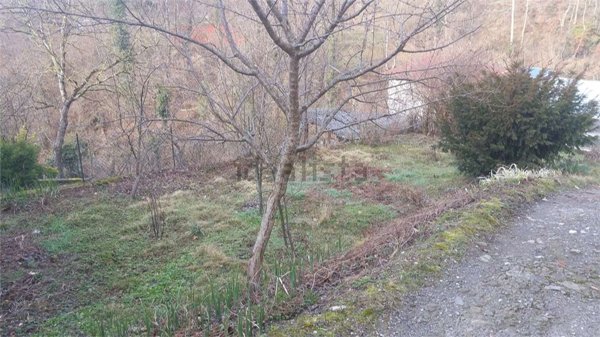 casa indipendente in vendita a Camporgiano