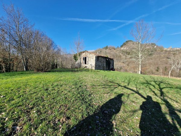 appartamento in vendita a Camporgiano