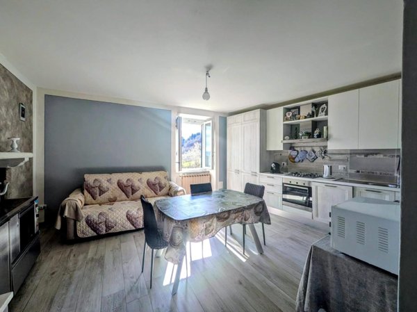 appartamento in vendita a Camporgiano in zona Vitoio