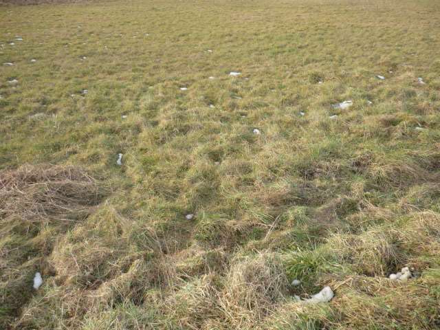 terreno agricolo in vendita a Capannori